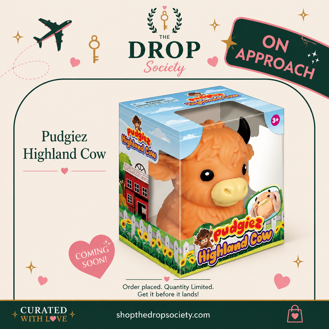 ON APPROACH:: Pudgiez™ Highland Cow