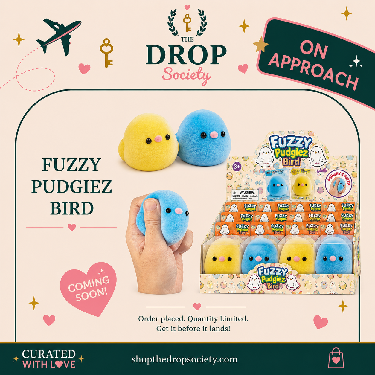 ON APPROACH:: Fuzzy Pudgiez™ Bird