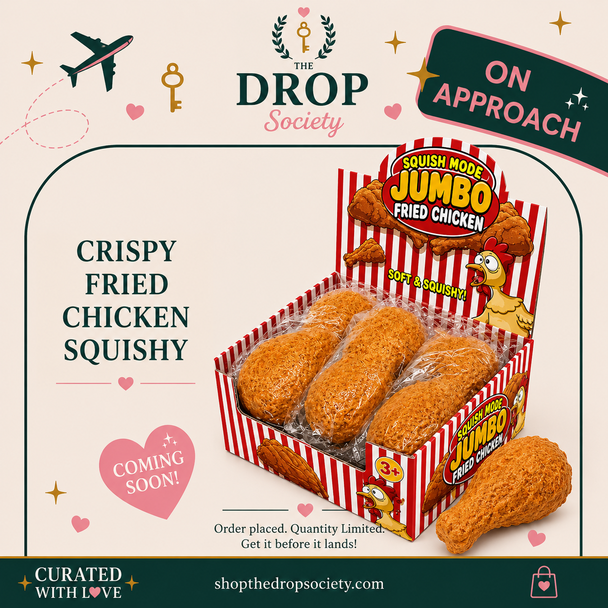 ON APPROACH:: Crispy Fried Chicken Squishy