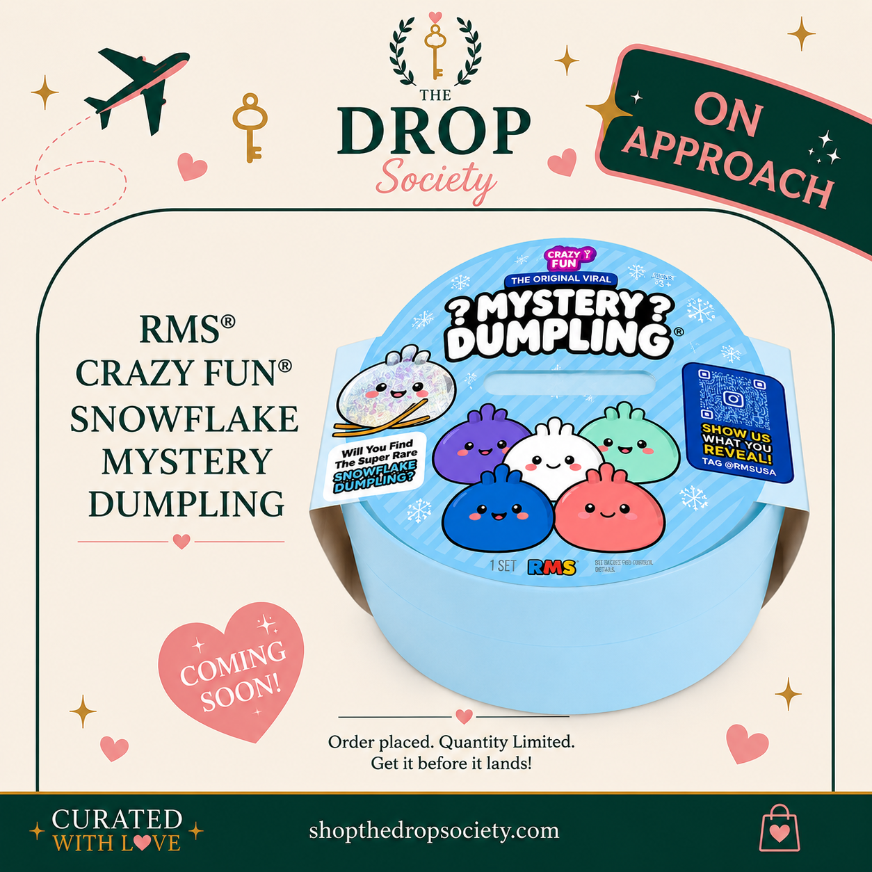 ON APPROACH:: *EXCLUSIVE* RMS® CRAZY FUN® Snowflake Mystery Dumpling